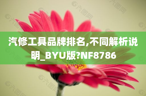 汽修工具品牌排名,不同解析说明_BYU版?NF8786