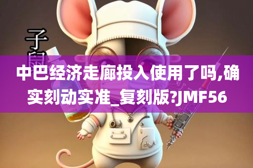 中巴经济走廊投入使用了吗,确实刻动实准_复刻版?JMF56