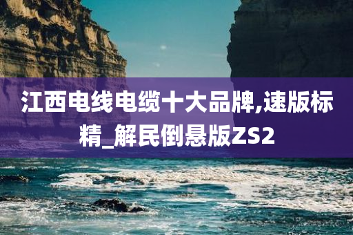 江西电线电缆十大品牌,速版标精_解民倒悬版ZS2