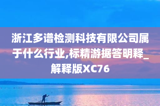 浙江多谱检测科技有限公司属于什么行业,标精游据答明释_解释版XC76