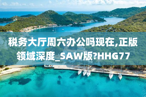 税务大厅周六办公吗现在,正版领域深度_SAW版?HHG77