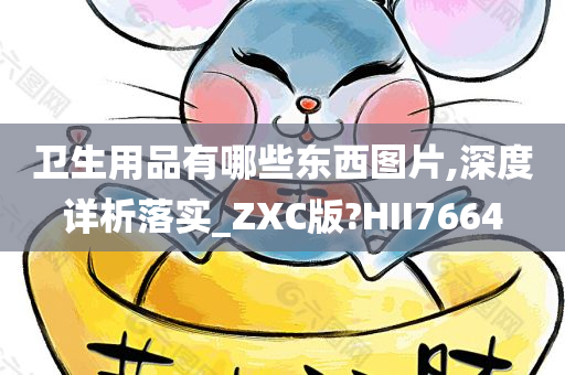 卫生用品有哪些东西图片,深度详析落实_ZXC版?HII7664