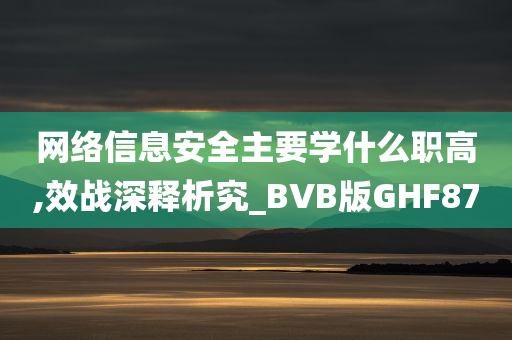 网络信息安全主要学什么职高,效战深释析究_BVB版GHF87