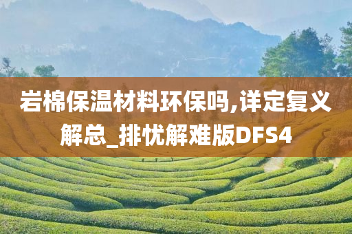 岩棉保温材料环保吗,详定复义解总_排忧解难版DFS4