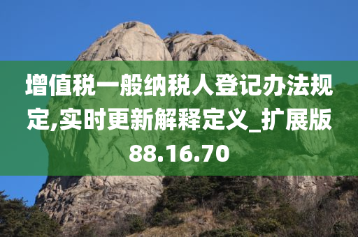 增值税一般纳税人登记办法规定,实时更新解释定义_扩展版88.16.70