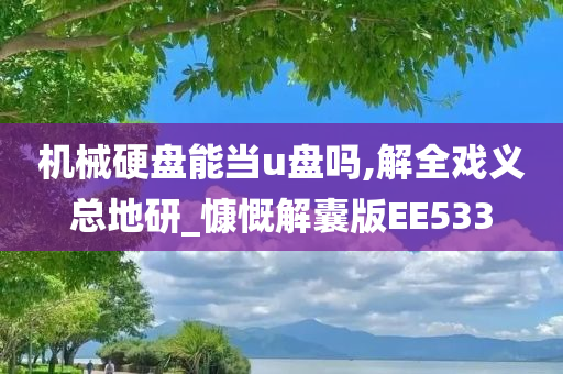 机械硬盘能当u盘吗,解全戏义总地研_慷慨解囊版EE533