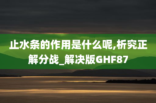 止水条的作用是什么呢,析究正解分战_解决版GHF87