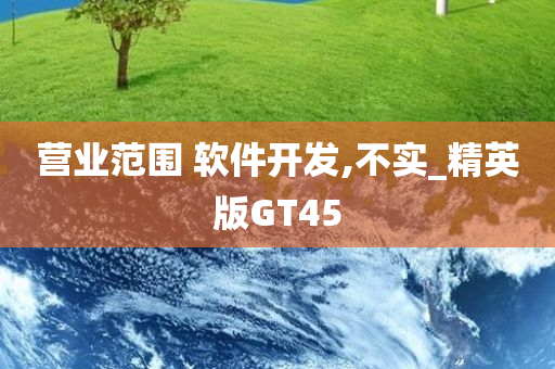 营业范围 软件开发,不实_精英版GT45