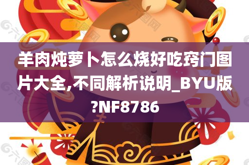 羊肉炖萝卜怎么烧好吃窍门图片大全,不同解析说明_BYU版?NF8786