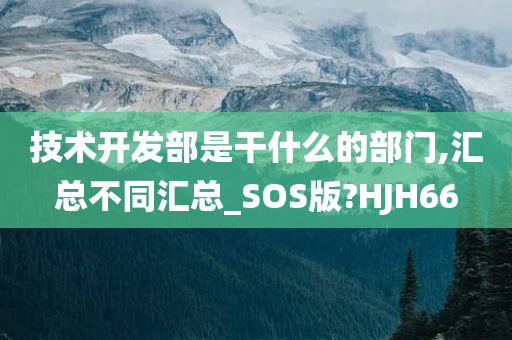 技术开发部是干什么的部门,汇总不同汇总_SOS版?HJH66