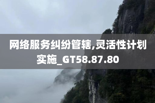 网络服务纠纷管辖,灵活性计划实施_GT58.87.80