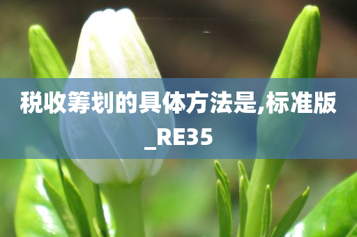 税收筹划的具体方法是,标准版_RE35