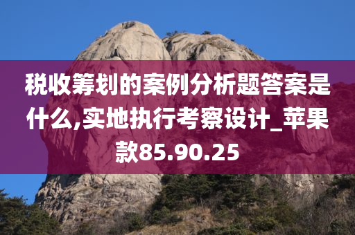 税收筹划的案例分析题答案是什么,实地执行考察设计_苹果款85.90.25