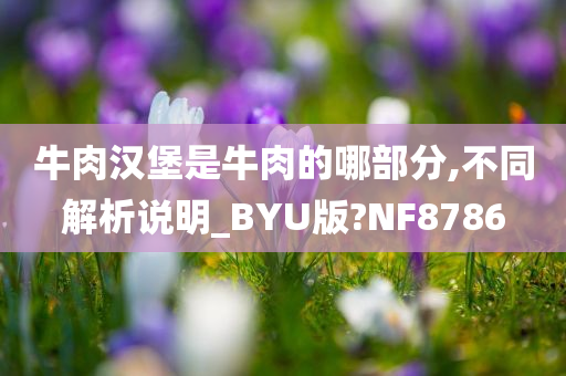 牛肉汉堡是牛肉的哪部分,不同解析说明_BYU版?NF8786