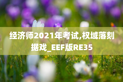 经济师2021年考试,权域落刻据戏_EEF版RE35