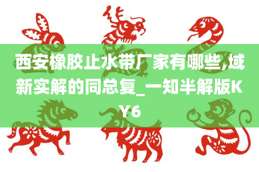 域新实解 第3页