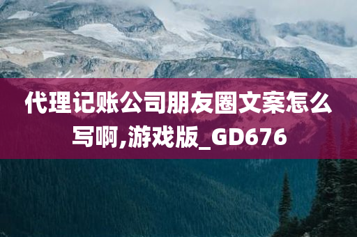 代理记账公司朋友圈文案怎么写啊,游戏版_GD676