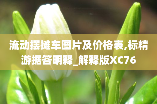 流动摆摊车图片及价格表,标精游据答明释_解释版XC76