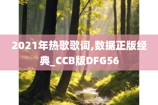 2021年热歌歌词,数据正版经典_CCB版DFG56