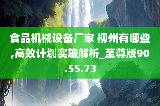 食品机械设备厂家 柳州有哪些,高效计划实施解析_至尊版90.55.73