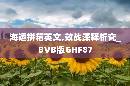 海运拼箱英文,效战深释析究_BVB版GHF87