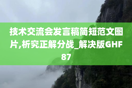 技术交流会发言稿简短范文图片,析究正解分战_解决版GHF87