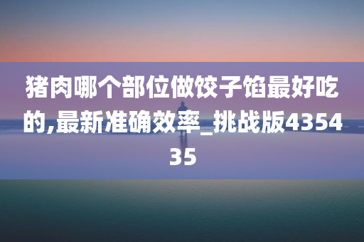 猪肉哪个部位做饺子馅最好吃的,最新准确效率_挑战版435435