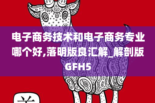 电子商务技术和电子商务专业哪个好,落明版良汇解_解剖版GFH5