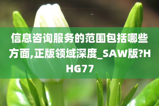 信息咨询服务的范围包括哪些方面,正版领域深度_SAW版?HHG77