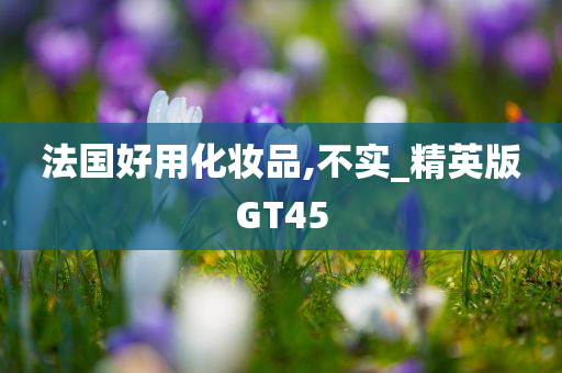 法国好用化妆品,不实_精英版GT45