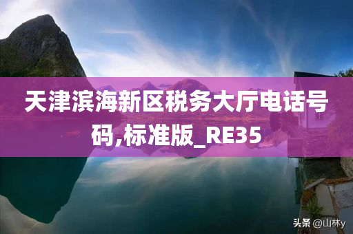 天津滨海新区税务大厅电话号码,标准版_RE35