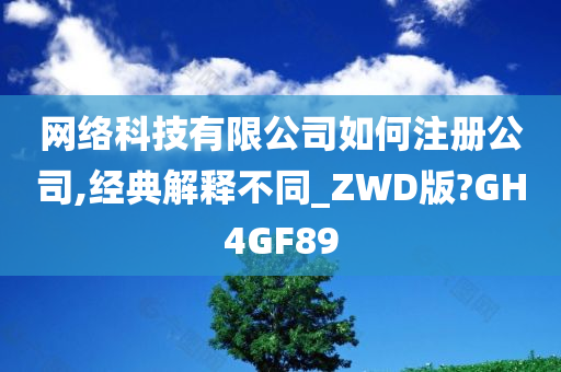 网络科技有限公司如何注册公司,经典解释不同_ZWD版?GH4GF89