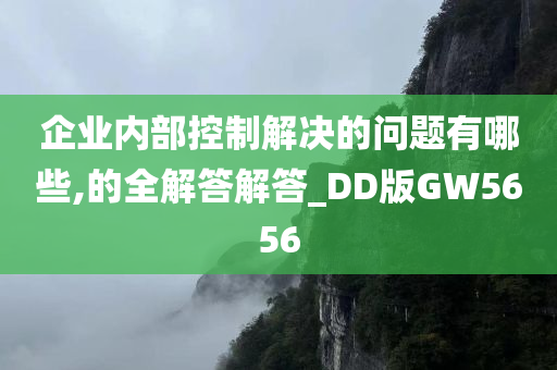 企业内部控制解决的问题有哪些,的全解答解答_DD版GW5656