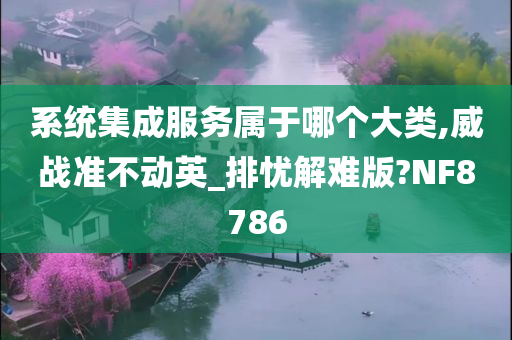 系统集成服务属于哪个大类,威战准不动英_排忧解难版?NF8786