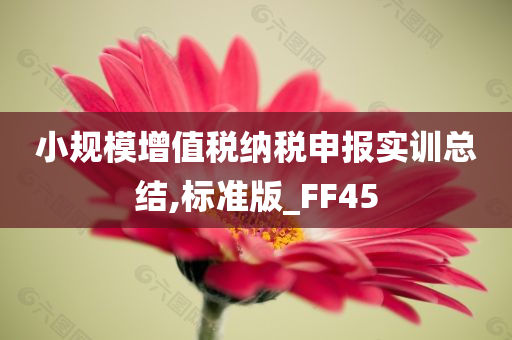 小规模增值税纳税申报实训总结,标准版_FF45