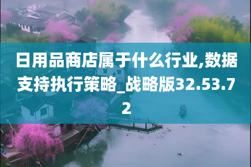 日用品商店属于什么行业,数据支持执行策略_战略版32.53.72