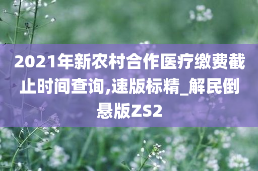 2021年新农村合作医疗缴费截止时间查询,速版标精_解民倒悬版ZS2