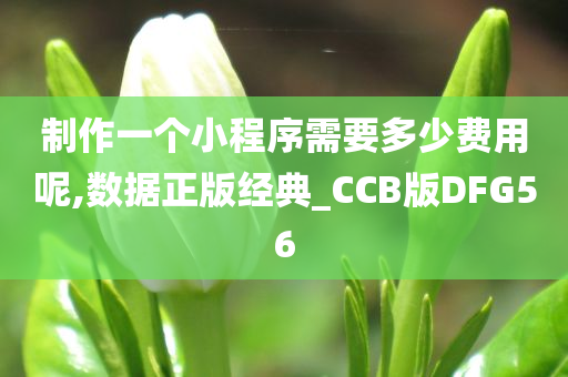 制作一个小程序需要多少费用呢,数据正版经典_CCB版DFG56