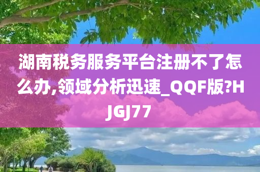 湖南税务服务平台注册不了怎么办,领域分析迅速_QQF版?HJGJ77