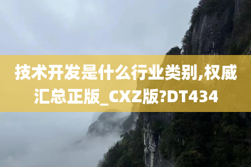 技术开发是什么行业类别,权威汇总正版_CXZ版?DT434