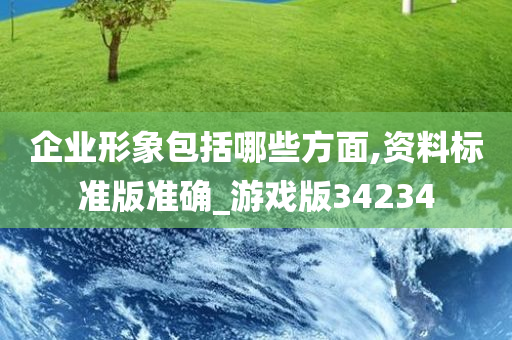 企业形象包括哪些方面,资料标准版准确_游戏版34234