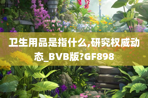 卫生用品是指什么,研究权威动态_BVB版?GF898