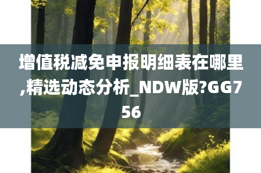 增值税减免申报明细表在哪里,精选动态分析_NDW版?GG756