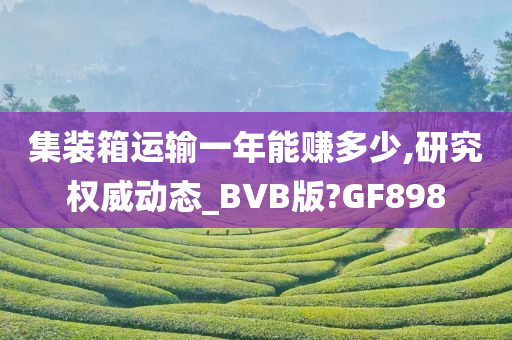 集装箱运输一年能赚多少,研究权威动态_BVB版?GF898