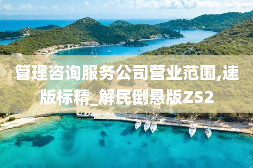 管理咨询服务公司营业范围,速版标精_解民倒悬版ZS2