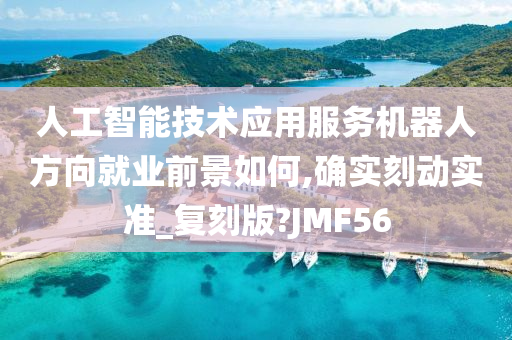 人工智能技术应用服务机器人方向就业前景如何,确实刻动实准_复刻版?JMF56