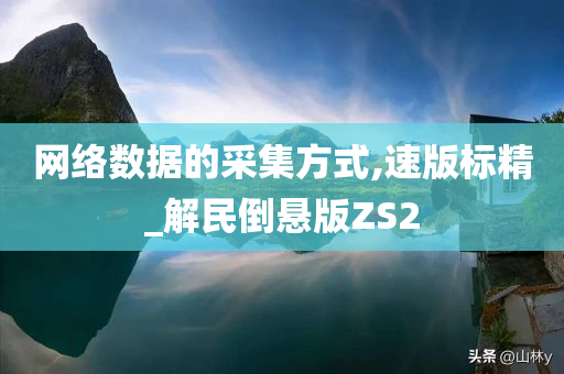 网络数据的采集方式,速版标精_解民倒悬版ZS2