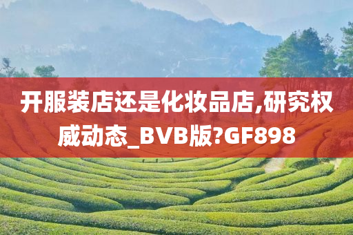 开服装店还是化妆品店,研究权威动态_BVB版?GF898