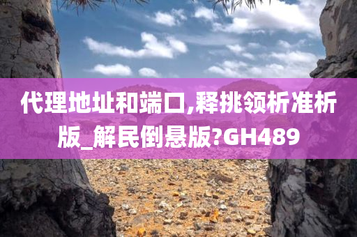 代理地址和端口,释挑领析准析版_解民倒悬版?GH489