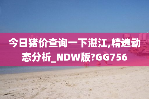 今日猪价查询一下湛江,精选动态分析_NDW版?GG756